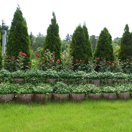 Pacsirta Vendeghaz Gæstehus