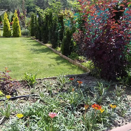 Gæstehus Pacsirta Vendeghaz